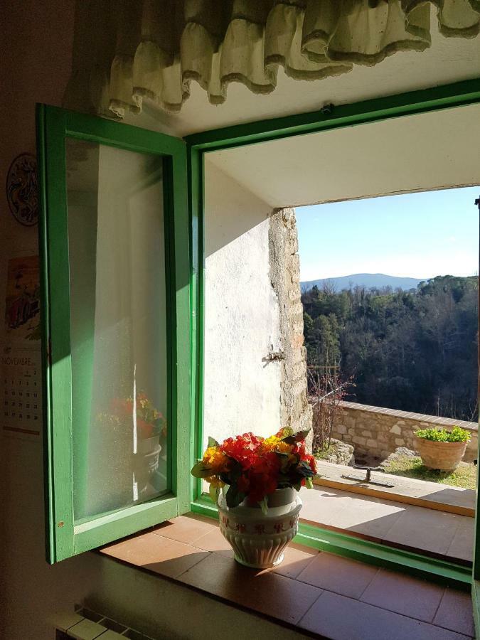 La Casa Del Fotografo Apartment Colle di Val d'Elsa Exterior photo