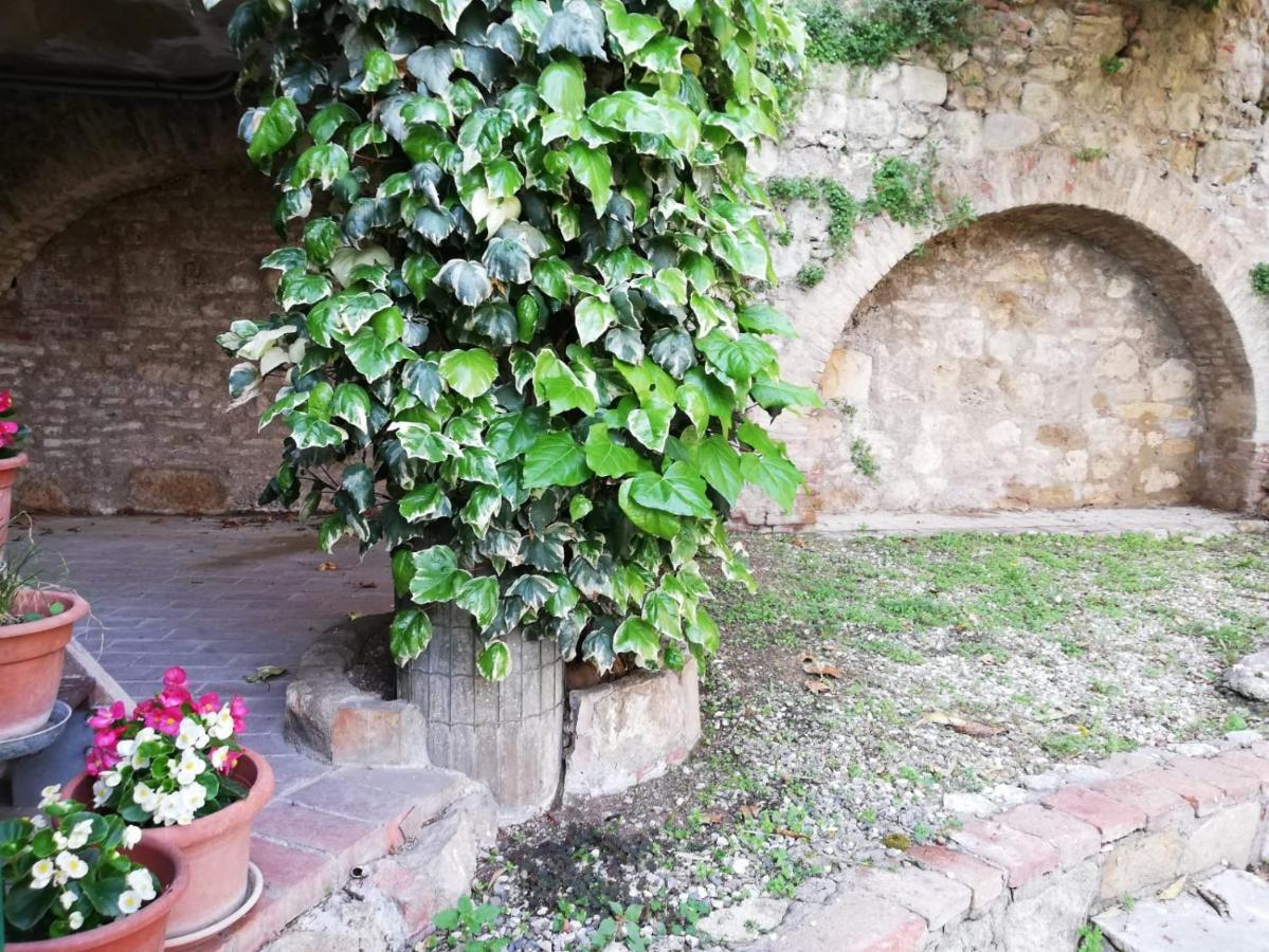 La Casa Del Fotografo Apartment Colle di Val d'Elsa Exterior photo